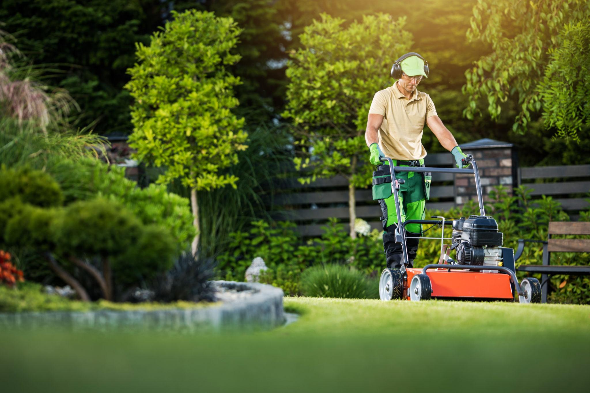 Professional Lawn Mowing